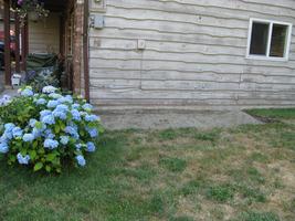 yard work 2010